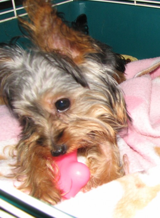 The little girl who loves to play!