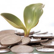 wealthcoffee profile image