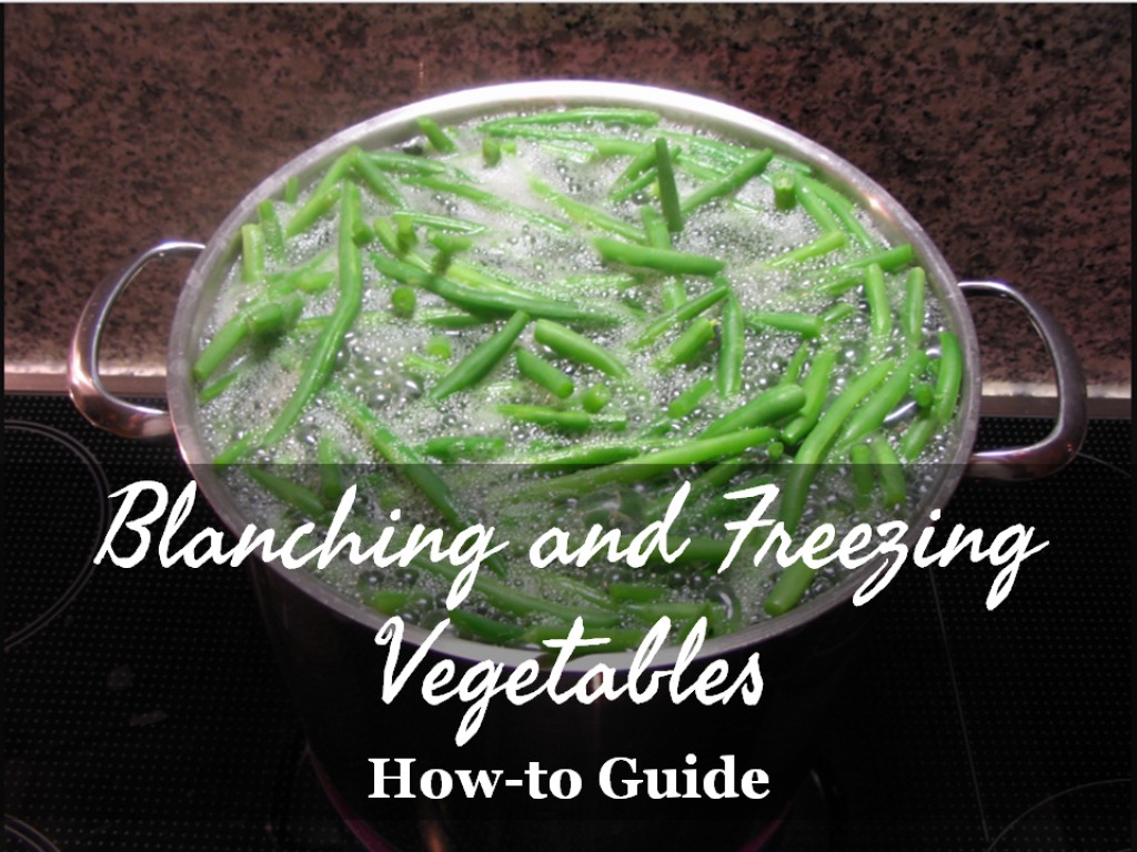 Blanching And Freezing Vegetables How To Guide Hubpages