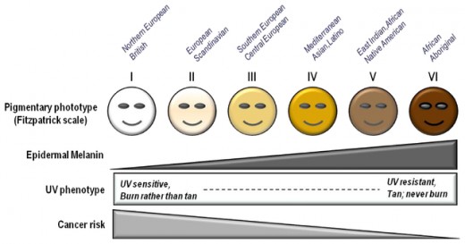 Skin Type Fitzpatrick scale
