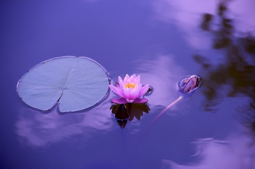 Find Out How Your Health is Linked to Your Wealth Find Out How Your Health is Linked to Your Wealth