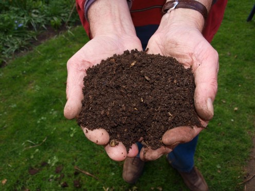 Writing From Your Compost Pile Writing From Your Compost Pile