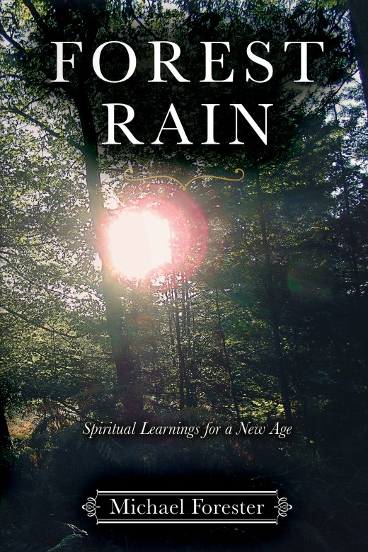 Front of the book Forest Rain