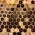 Eggs, larvae, and capped cells. Eggs, larvae, and capped cells.