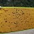 All drone brood. All drone brood.