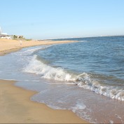 upsidedowngrl profile image