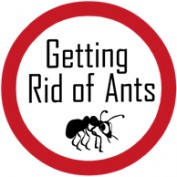 Gettingridofants profile image
