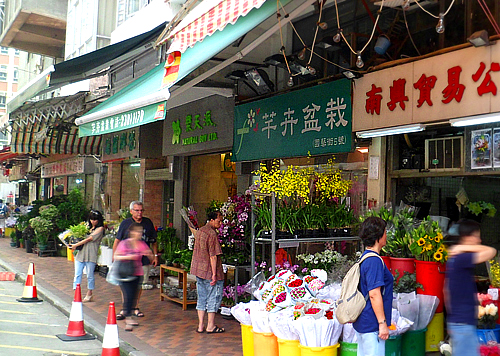 Shopping on Flower Market Road.