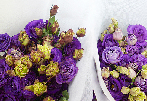 Gorgeous lavender roses!