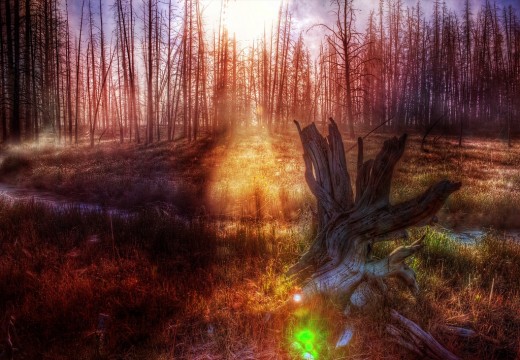 Keep on the Path of Light