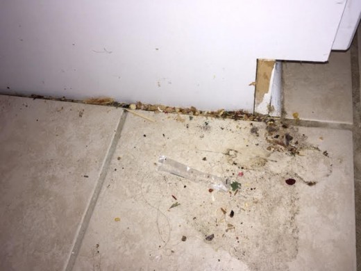 Food spillage beside stove