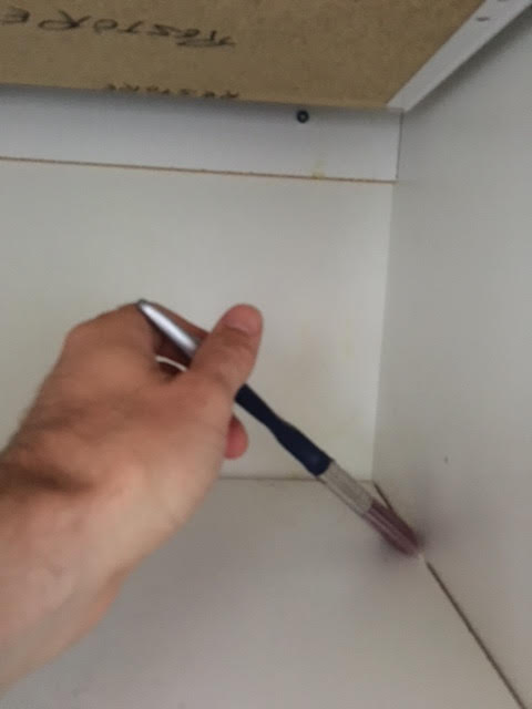 treating cracks and crevices with paint brush dipped in diatomaceous earth