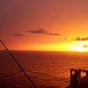 Dawn Linberg profile image