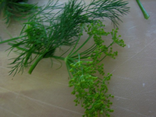 If you have a pretty Dill Flower in bloom save it to the side to use as a garnish for the top of the dish after it is cooked. Add the DillFlower to the middle of the dish just before you serve it, after the lid is removed. It makes a nice topping for