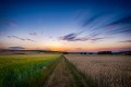 Organic Agriculture: A Solution for Healthy People on a Healthy Planet