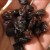 handful of raisins handful of raisins