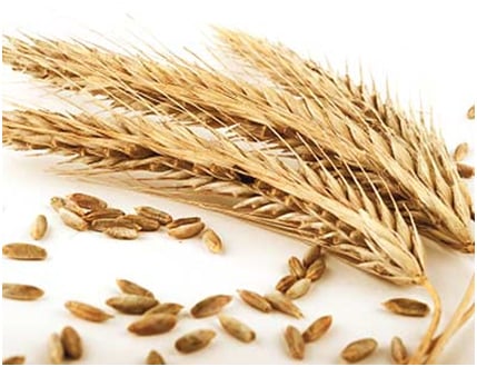 Whole Grains help prevent diabetes