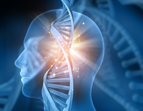DNA Testing to Discover Your Ancestry and Health Risks—A Personal Review DNA Testing to Discover Your Ancestry and Health Risks—A Personal Review