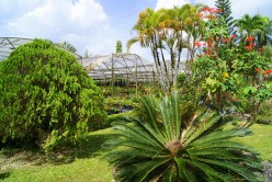 Tropical Outdoor Design Ideas