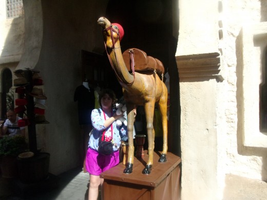 Rose in front of a life size camel