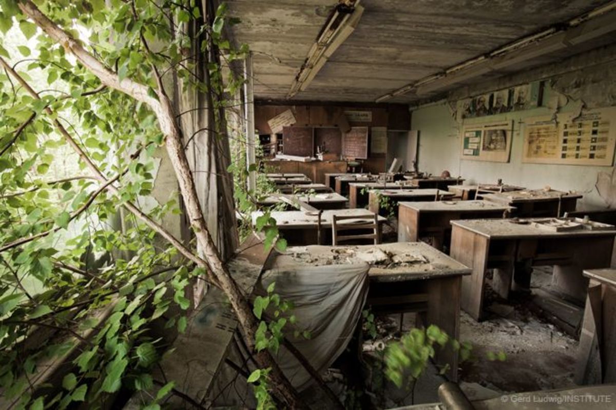 trees growing in an abandoned school.