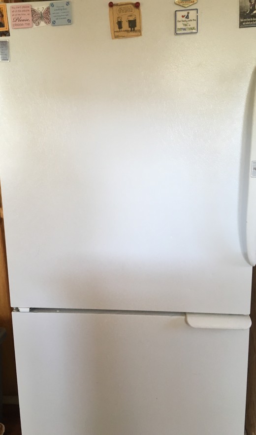 Clean fridge and fridge door. Another appliance done.