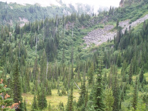 The road north awaits them