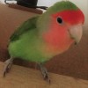 Michael Arnott profile image