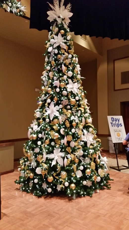 This tree was in the ballroom at Solivita, a senior community south of Orlando. Isn't it gorgeous!