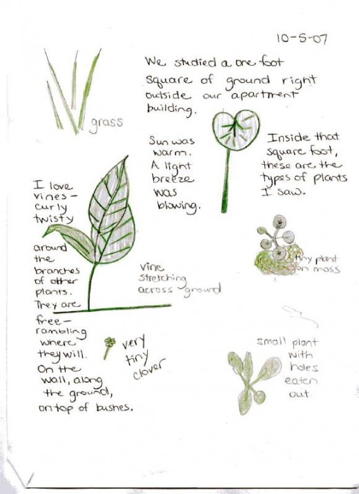 A nature journal is a great way to preserve memories of your adventures. 