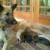 http://www.flickr.com/photos/prakhar/115244642/ http://www.flickr.com/photos/prakhar/115244642/