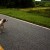 http://www.flickr.com/photos/75936255@N00/184939097/ http://www.flickr.com/photos/75936255@N00/184939097/