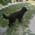 http://www.flickr.com/photos/20918261@N00/1751414022/ http://www.flickr.com/photos/20918261@N00/1751414022/