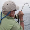 James Gastom profile image