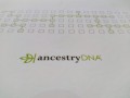 Everything You Need to Know About Taking an Ancestry DNA Test