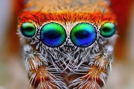 "I can seeee youuuuuu!