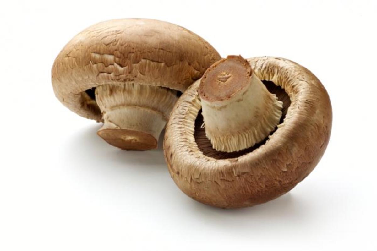 Interesting article on the health benefits of mushrooms