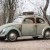 The old Beetles were hard to kill!