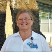 Sandy Calkins profile image