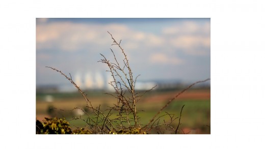 Here we took the picture with the lens wide open. Here we took the picture with the lens wide open.