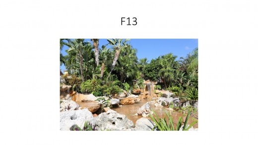 And in this photo we closed the lens down. And in this photo we closed the lens down.