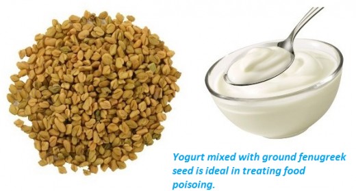 Yogurt mixed with ground fenugreek seeds is a good concoction when treating food poisoning.