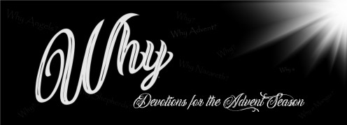 All the "Whys" of Christmas All the "Whys" of Christmas