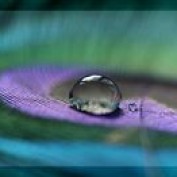 Devika Tagra profile image