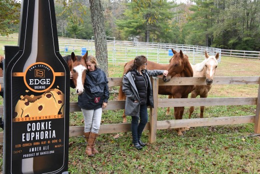 The HERD horses.