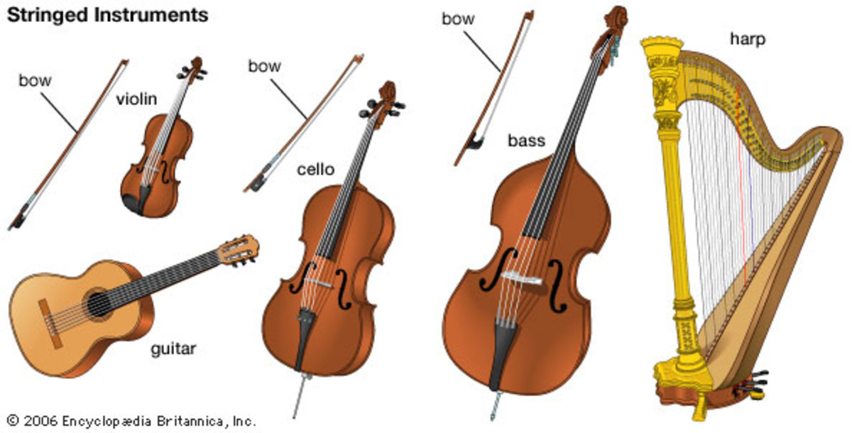 Trend Terbaru String Instruments