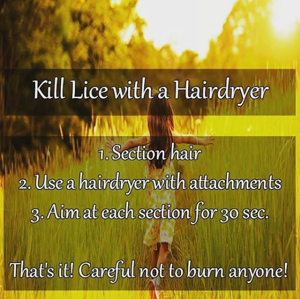No Mess Natural Lice Treatment Using No Chemicals Or Oils Hubpages