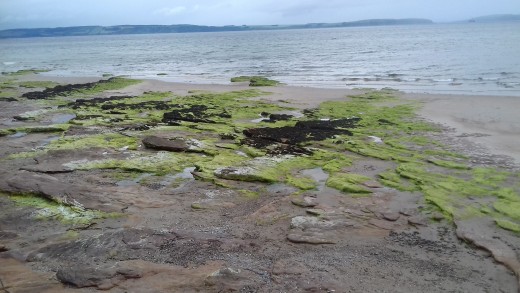 Fig 1. First photo taken which shows an unnaturally regimented layout to the rocks on the beach