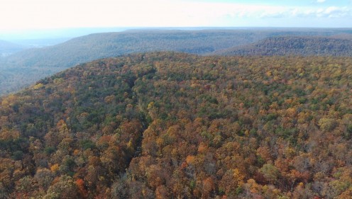 Fall color in the mountains.  In Sequatchie, TN near Jasper