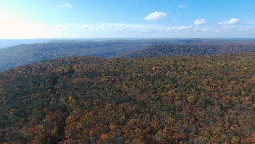 Fall Color in the mountains.  This photograph was taken in the mountains near Jasper, TN